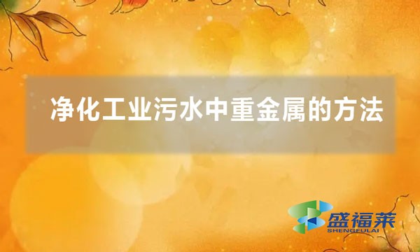 净化工业污水中重金属的方法(如何剥离污水中的重金属)